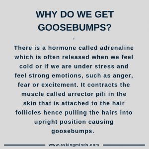 Why do we get goosebumps? - goosebumps facts | did you know | general knowledge facts | facts you didn't know | unbelievable facts | facts mind blowing | fascinating facts | short answers | cool facts | amazing facts | interesting facts | useful websites | did you know | asking minds | goosebumps on skin - #didyouknow #facts #goosebumps #knowledge #interesting